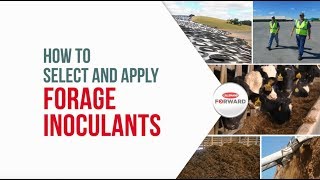 How to Select and Apply Forage Inoculants [upl. by Dweck]