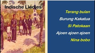 Indische liedjes 1 [upl. by Swain]