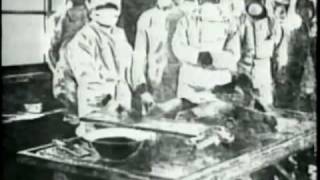 Unit 731 Japanese Biological Warfare Program WWII [upl. by Liza]