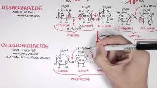 Biochemistry of Carbohydrates [upl. by Aileda366]