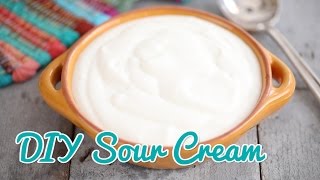 How to Make Sour Cream  Gemmas Bold Baking Basics Ep 21 [upl. by Uwkuhceki620]