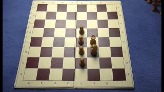 Schach lernen in 30 Minuten [upl. by Yentuoc]