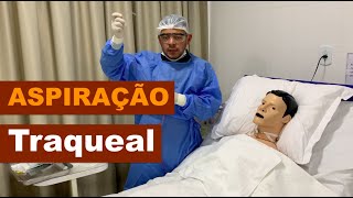 Aspiração Traqueal [upl. by Burdelle400]