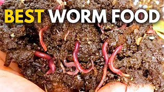 What to Feed Worms Vermicompost Made EASY [upl. by Danas]