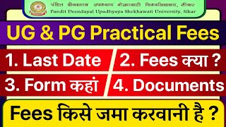 Shekhawati University UG amp PG Practical Training Form Fess Documents Last Date PDUSU Updates [upl. by Rihana739]