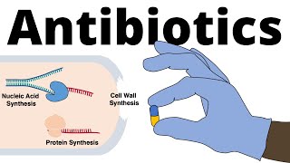 Antibiotics  Mechanisms of Action Classification and Antibiotic Resistance [upl. by Atinod946]