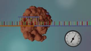 DNA Sequencing  3D [upl. by Vikky]