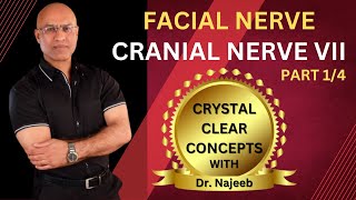 Facial Nerve  Neuroanatomy  Part 14 [upl. by Eveiveneg]