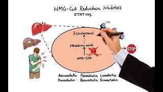 Pharmacology  DRUGS FOR HYPERLIPIDEMIA MADE EASY [upl. by Keli691]