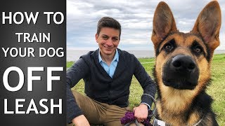 Off Leash Training How to Train Your Dog To Listen Off Leash [upl. by Hasila]