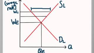 Labour Market Equilibrium  Excess Supply and Demand for Labour [upl. by Lienad]