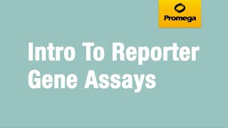 Introduction to Reporter Gene Assays [upl. by Areema]