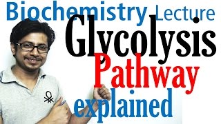 Glycolysis biochemistry [upl. by Adas]