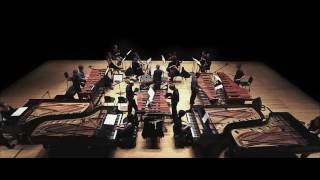 Steve Reich Music for 18 Musicians [upl. by Cence]