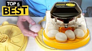 ✅ TOP 5 Best Egg Incubator you must own [upl. by Stahl]