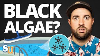 How To Get Rid Of BLACK ALGAE In Your POOL [upl. by Eerb]