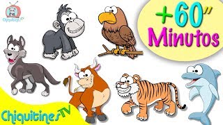 Animales para niños  1 hora de videos con animales [upl. by Arie]