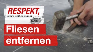 Fliesen entfernen und austauschen  toom Werkstatt [upl. by Suixela]