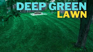 🟢 Make your ugly lawn DARK GREEN in 3 days [upl. by Nnylyahs]