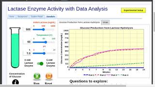 Lactase Enzyme Activity with Data Analysis Simulation [upl. by Malchus916]