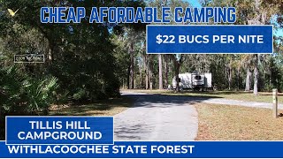 Cheap Affordable Camping Tillis Hill Recreation area Withlacoochee State Forest [upl. by Akinam]