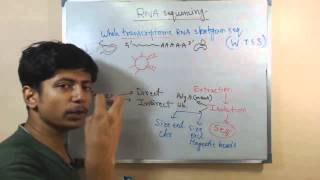 RNA sequencing [upl. by Oskar]