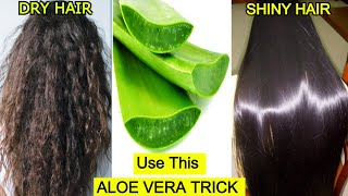 Use Aloe Vera This way To Turn Dry Hair To Shiny Hair Naturally Aloe Vera Gel For Hair Priya Malik [upl. by Magocsi]