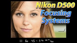 Nikon D500 Tutorial Part 2  How To Focus Training [upl. by Ycaj362]