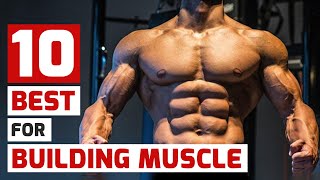 Top Trainers Agree These Are the 10 Best MuscleBuilding Exercises [upl. by Aihsot]