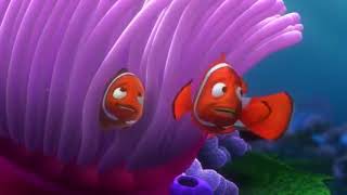 FINDING NEMO 3D Clip  Exit Buddy [upl. by Asseral]