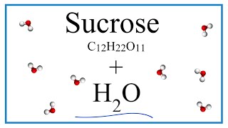 Equation for C12H22O11  H2O Sucrose  Water [upl. by Watters]