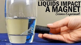 How Liquids Impact a Magnet Experiment [upl. by Legnaros]