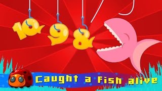 12345 Once I Caught A Fish Alive  Nursery Rhymes for kids  JellyBug [upl. by Naujed]