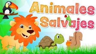 Los ANIMALES SALVAJES en español para niños con sonidos [upl. by Ardnuaet]