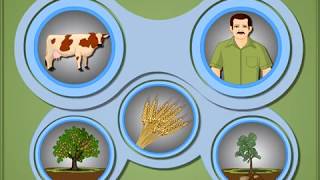 Heterotrophic Mode of Nutrition in Plants  Macmillan Education India [upl. by Berkman757]