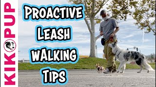 STOP Leash Walking Problems BEFORE they Start [upl. by Juster]