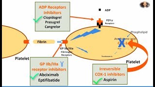 Antiplatelet Aspirin Clopidogrel and Abciximab in 2 mins [upl. by Toffic527]