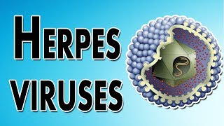 Herpes Symptoms Treatment and Causes [upl. by Nneb]