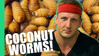 HOW TO EAT COCONUT WORMS Inspirational [upl. by Marteena957]