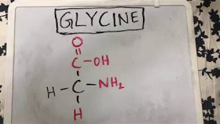 Glycine Structure  Amino Acid Basics [upl. by Tadio]