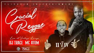 JAMDOWN CRUCIAL REGGAE MIX DJ TRACE x MC ATOM LIVE [upl. by Arahc]