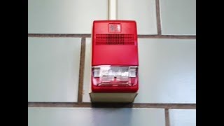 Fire Alarm  Edwards EST Genesis Horn Strobe [upl. by Fisken]