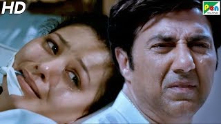 Singh Saab The Great  Popular Hindi Movie  Part 03  Sunny Deol Urvashi Rautela [upl. by Queena]