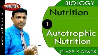 Autotrophic Nutrition Nutrition  Biology  Science  Class 10 [upl. by Dogs]