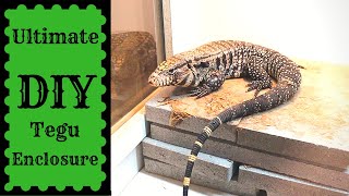 Ultimate DIY Tegu Enclosure [upl. by Barney682]