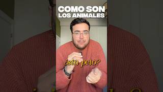 CÓMO SON LOS ANIMALES SIN PELO😱 [upl. by Hartmunn]