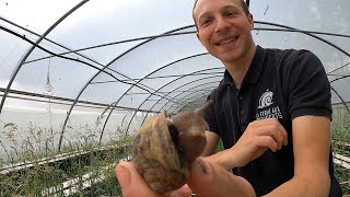 Escargots 🐌 Eating French Food at a Snail Farm [upl. by Ailyt953]