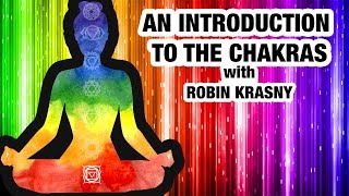 Beginners Guide to Chakras  Everything You Need to Know About Chakras [upl. by Amelie139]