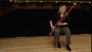 What does a bassoon sound like Ode to Joy [upl. by Mitran]