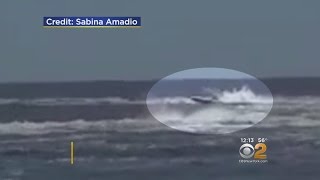 Deadly Speedboat Crash Caught On Video [upl. by Arlon154]